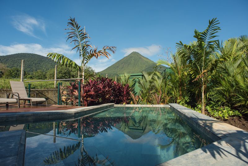 The shared pool