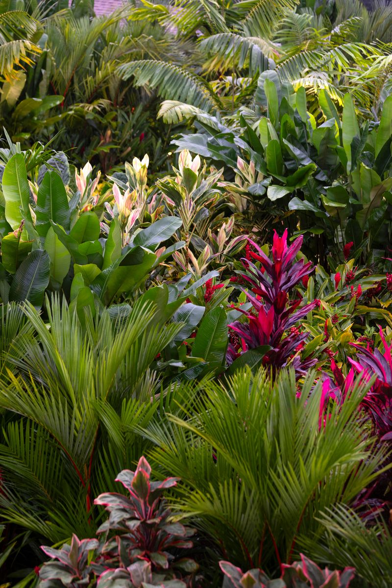 Gardens